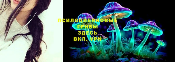 ALPHA-PVP Белокуриха